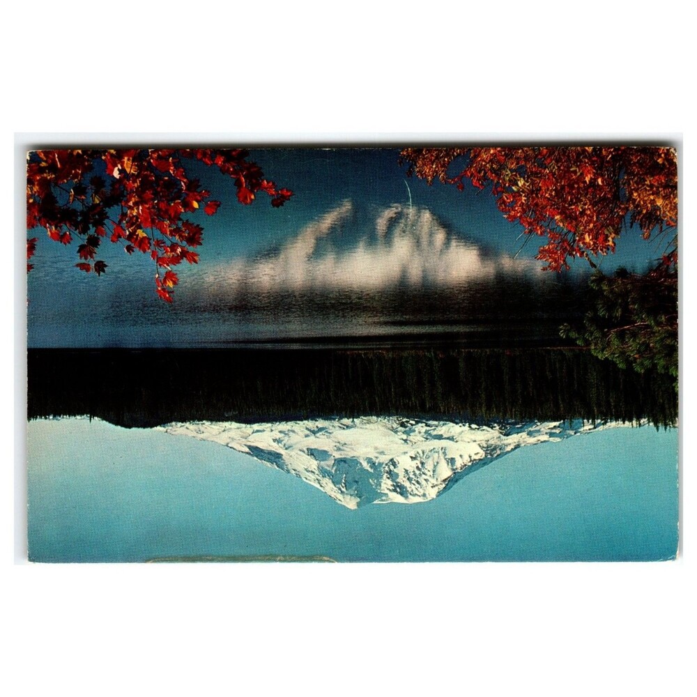 Vintage Alfred Mainzer Postcard Inverted Mountain Lake Reflection Autumn